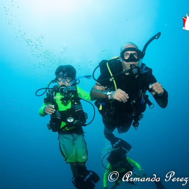 Puerto Vallarta Scuba Diving Expedition at El Malinal GetYourGuide