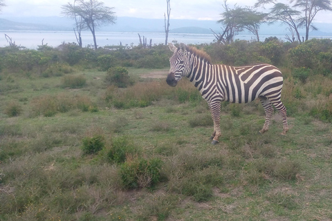Excursión a Crescent Island