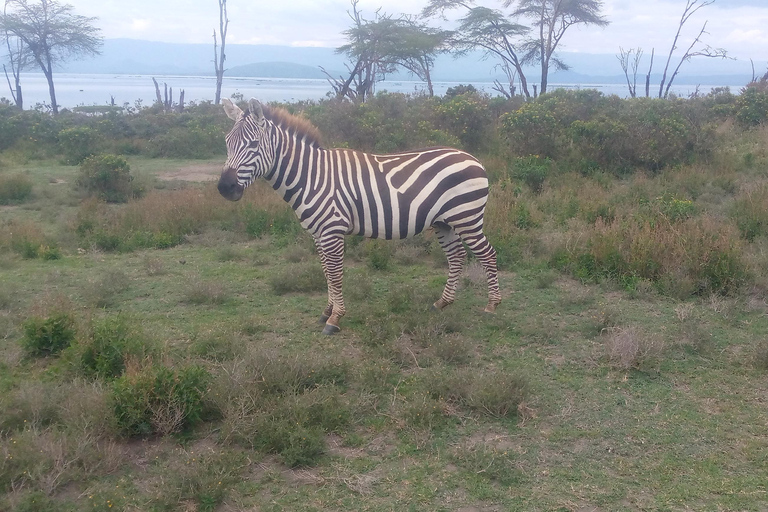 Excursión a Crescent Island
