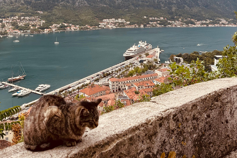 Kotor, Perast, linbana: Privat tur med lokal guide