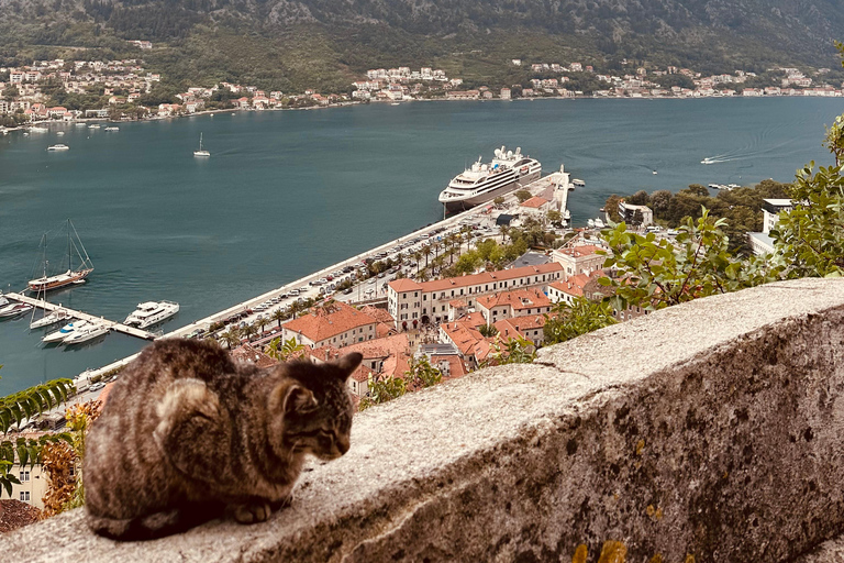 Kotor, Perast, teleférico: Tour particular com guia local