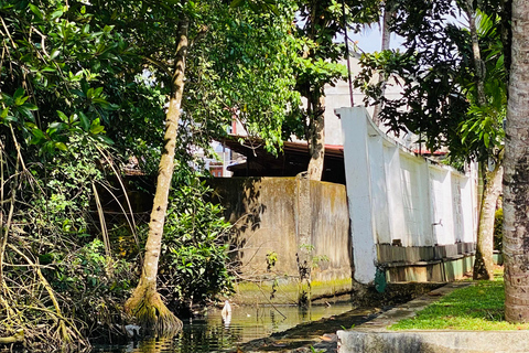 Bentota River Safari: Entdecke Wildtiere und Mangroven vom Boot ausBentota River Safari: Entdecke die Tierwelt und Mangroven vom Boot aus