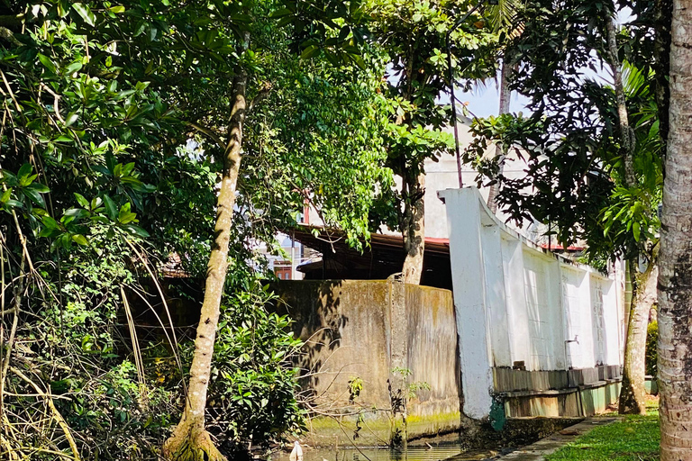 Bentota River Safari: Entdecke Wildtiere und Mangroven vom Boot ausBentota River Safari: Entdecke die Tierwelt und Mangroven vom Boot aus