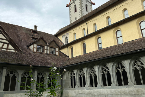 From Zurich: Private Tour to Rheinfalls and Stein am Rhein