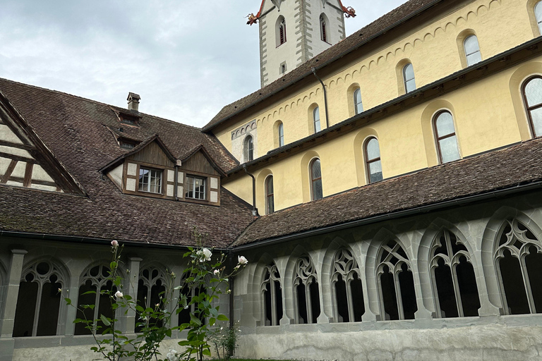 From Zurich: Private Tour to Rheinfalls and Stein am Rhein