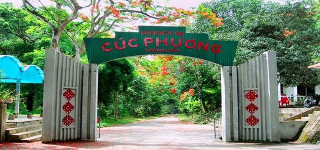 Ninh Binh: Explore Cuc Phuong National Park full day