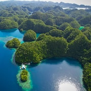 Siargao: Sohoton and Non-Sting Jellyfish Sanctuary Tour