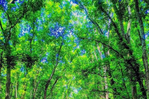 Explore Banyuwangi 3 day 2 night