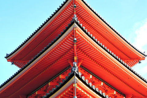 Von Osaka aus: Kyoto Tagestour mit Fushimi Inari Schrein