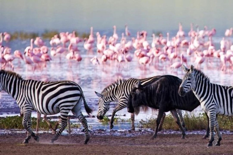 Nakuru National Park Day Trip