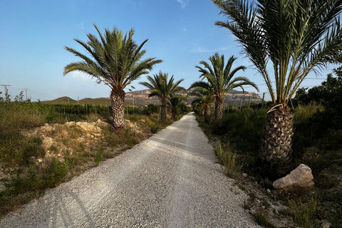 Alicante, Spain: Guided Gravel Ride - Via Verde 65Km