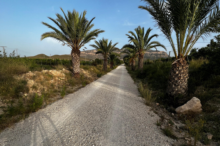 Alicante, Spain: Guided Gravel Ride - Via Verde 65Km