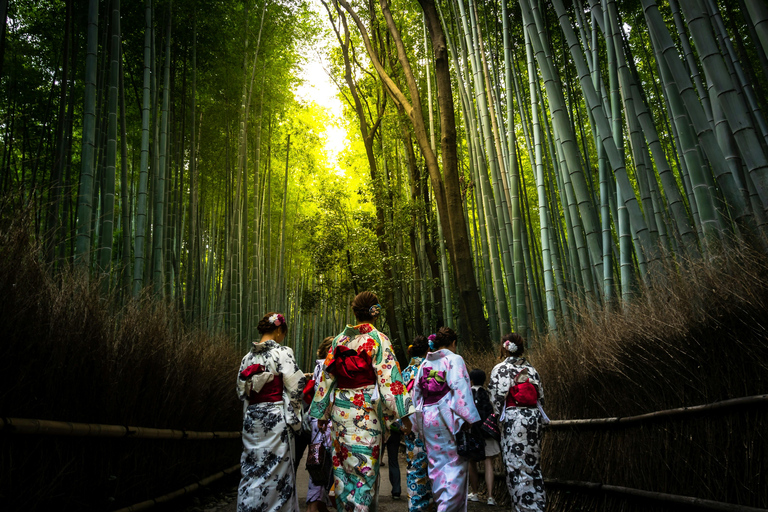 Japan Wonders: A 10-Day Adventure Japan Wonders