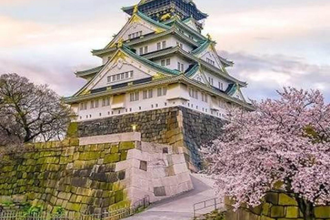 Tokyo: 7-Day Japan Highlights Private Guided Tour