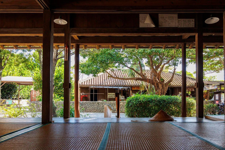 那霸：冲绳南部，风光旖旎，采摘乐趣，烧烤午餐那霸：冲绳南部，观景，采摘水果，烧烤午餐