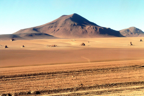 From Uyuni: Salar de Uyuni 3 days 2 nights