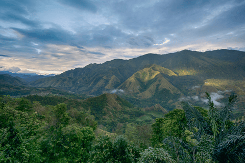 Tana Toraja: tour privato di 3D2N nel Sulawesi meridionaleTour senza voli