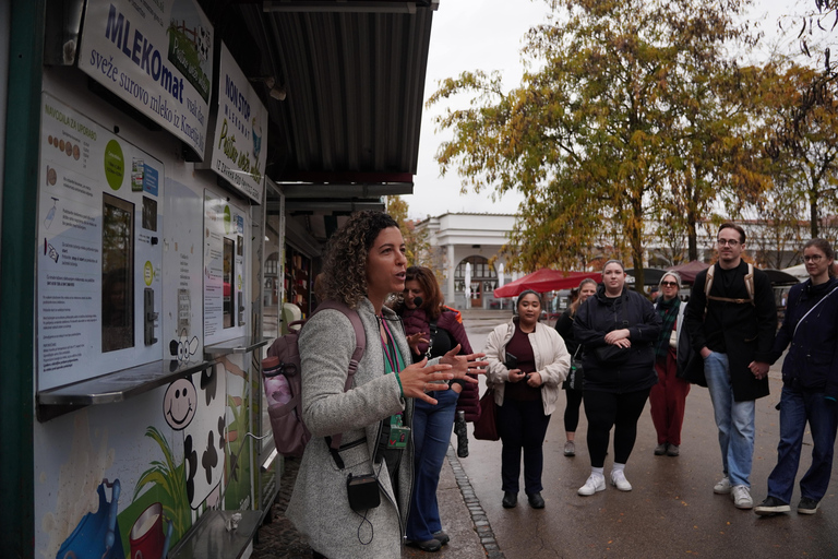 Ljubljana Slovenian Street Food Tour & City Highlights Tour