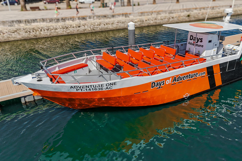 DELFINSKÅDNING &amp; BENAGIL-GROTTAN FRÅN LAGOS – DUBBELTURDOLPHIN WATCHING &amp; BENAGIL CAVE TOUR FRÅN LAGOS - DUBBELUTFLYKT