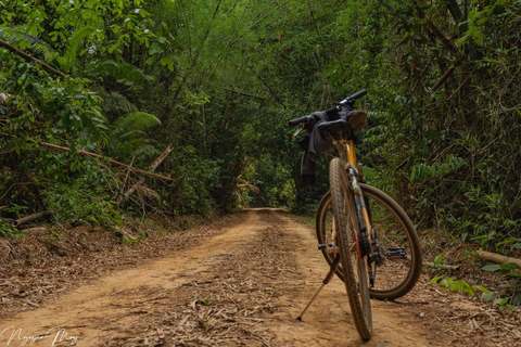 Parque Nacional de Cat Tien Tour particular de 2 dias com guia de turismoNão inclui alimentação e hotel