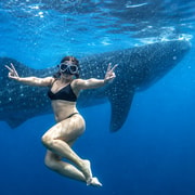 Cebu: Oslob Whale Shark Encounter with Hotel Transfers