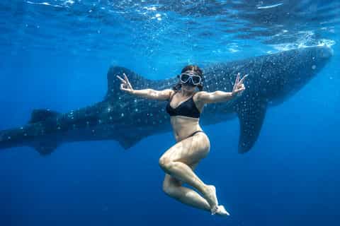 Cebu: Oslob Whale Shark Encounter with Hotel Transfers - Image 3