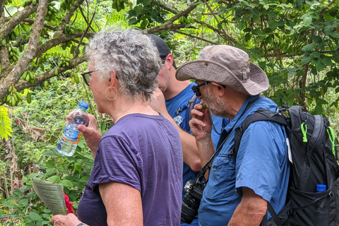 Gewürzfarm-Radtour: Per Pedal durch aromatische Abenteuer