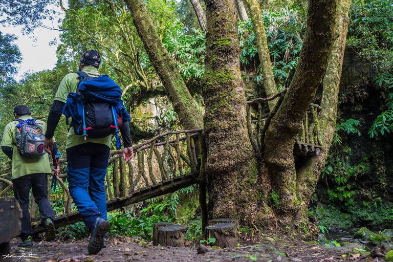 Vanuit Ponta Delgada: Wandeling Moinho do Félix