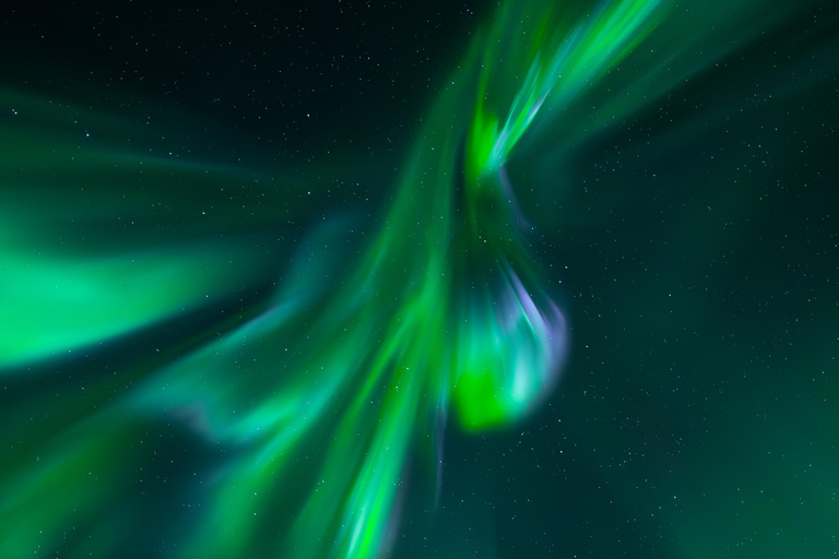 Rovaniemi’s Smallest Guarantee Aurora Tour (Max 6 person)