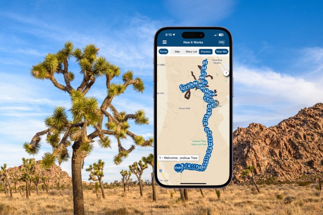 Visit Joshua Tree National Park Self-Driving Audio Tour in Yucca Valley, California, USA