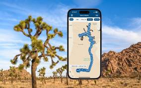 Joshua Tree National Park: Self-Driving Audio Tour