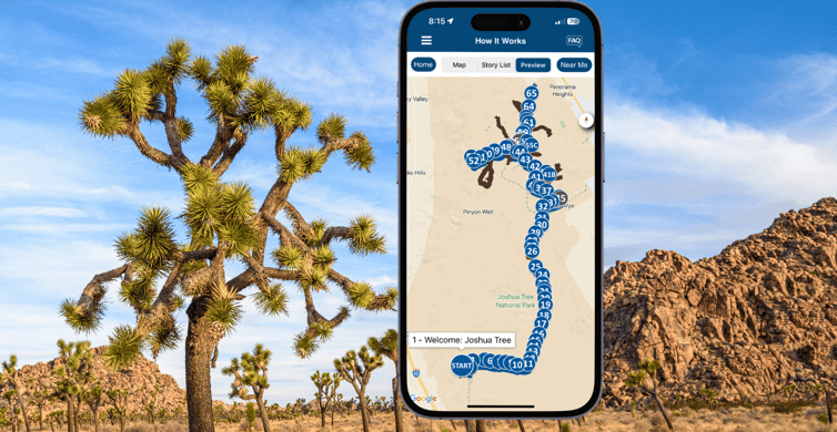 Joshua Tree National Park: Self-Driving Audio Tour