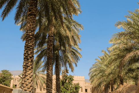 Goditi il tuo weekend: Tour di un giorno intero a Nizwa, Bahla e Hamra