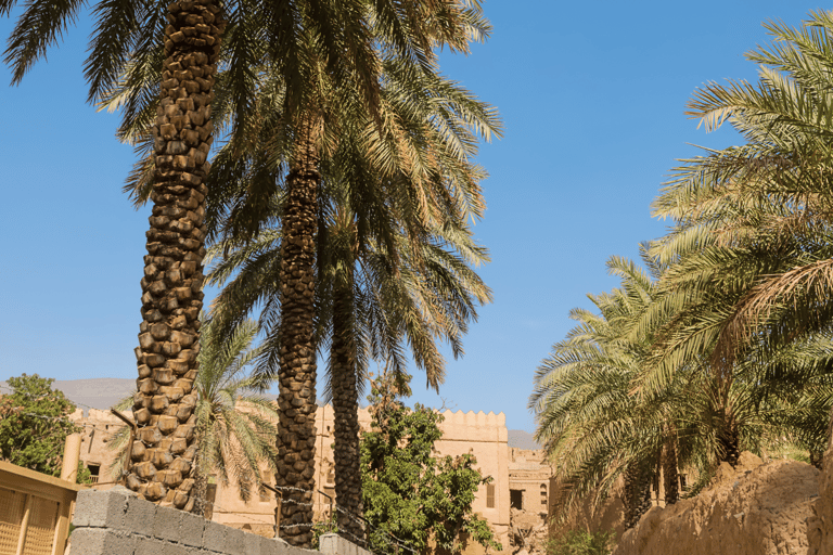 Goditi il tuo weekend: Tour di un giorno intero a Nizwa, Bahla e Hamra