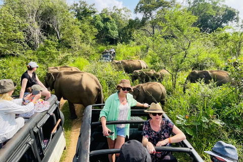 Minneriya National Park Safari im Golden Hours 4x4 Jeep