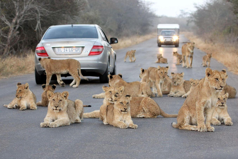 Isimangaliso Wetlands Park & Hluhluwe 2 Day Tour From Durban