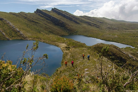 From Bogotá: Siecha Lagoons & Andean Bear Nature Experience