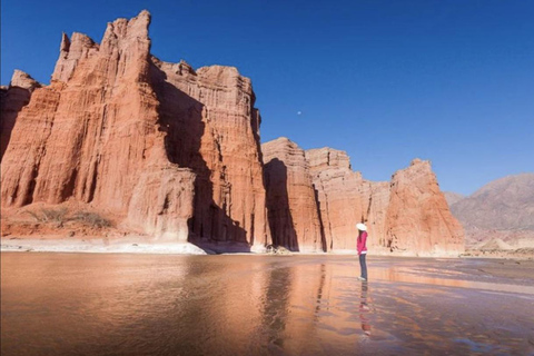 Salta: Cafayate Wine Tour with Tastings and Transfers