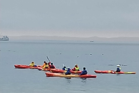 Walvis Bay : Visite d&#039;une jounée en kayak et au port de Sandwich