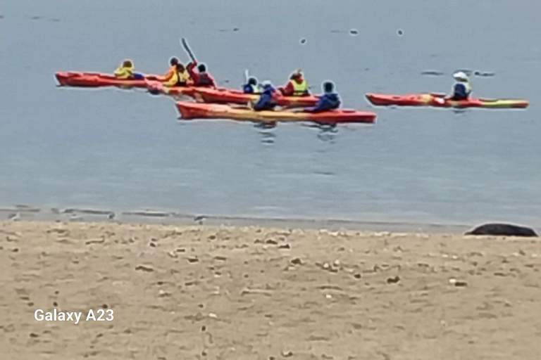 Walvis Bay : Visite d&#039;une jounée en kayak et au port de Sandwich