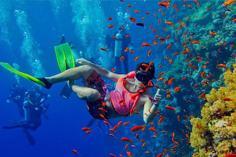 Zanzibar: Pungume Island Dolphin and Snorkeling TourZanzibar: Delfin- och snorklingstur till Pungume Island