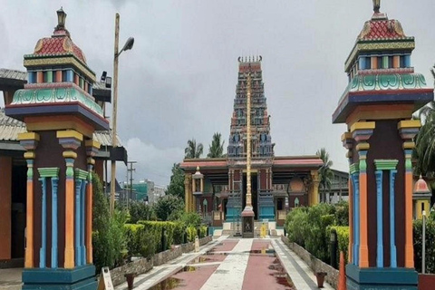 Nadi: Private Tour with Temple, Garden, Markets & Mud Pools