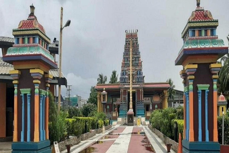 Nadi: Private Tour with Temple, Garden, Markets & Mud Pools