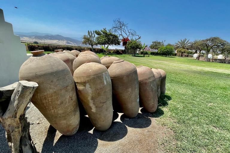 VISITE PRIVÉE DE LA VILLE ICA-HUACACHINA+BUGGIES EN VOITURE PRIVÉE DEPUIS PARACAS