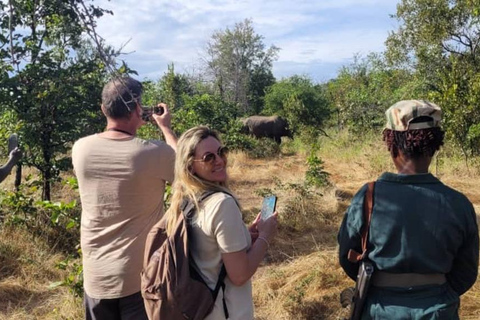 Livingstone: Private White Rhino Photography Safari