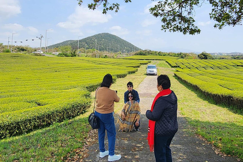 From Seogwipo: Jeju East UNESCO Highlights Join in Tour