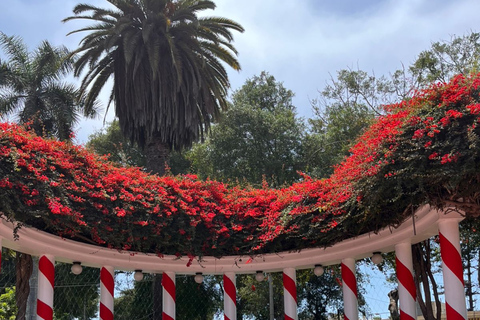 Lima: Private Tour of Barranco, La Herradura, and the Pachacámac Sanctuary