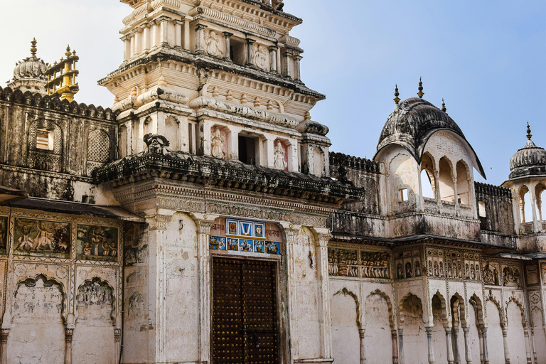 From Jaipur: Temple Town Pushkar Day Trip with Camel Safari