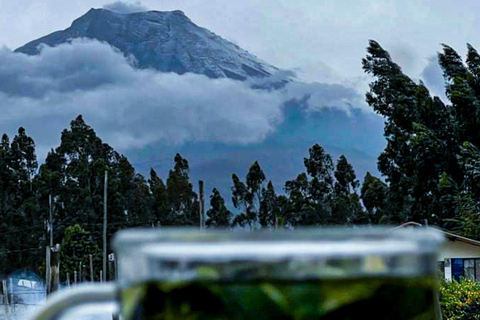 Volcan Cotopaxi : visite depuis Quito, alpaga, lagune et volcans