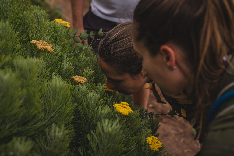 Guided Table Mountain Hike – Kasteelspoort Scenic Route Beautiful Table Mountain Hike: Kasteelspoort Scenic Route